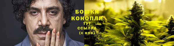 СК Белокуриха