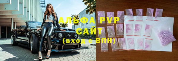 СК Белокуриха