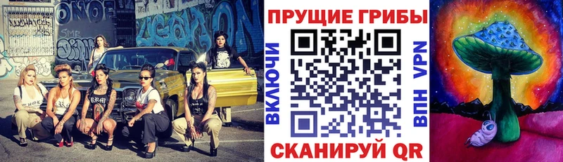 blacksprut маркетплейс  цены наркотик  Жуков  Псилоцибиновые грибы мухоморы 