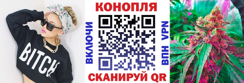 Каннабис план купить наркотики цена Жуков